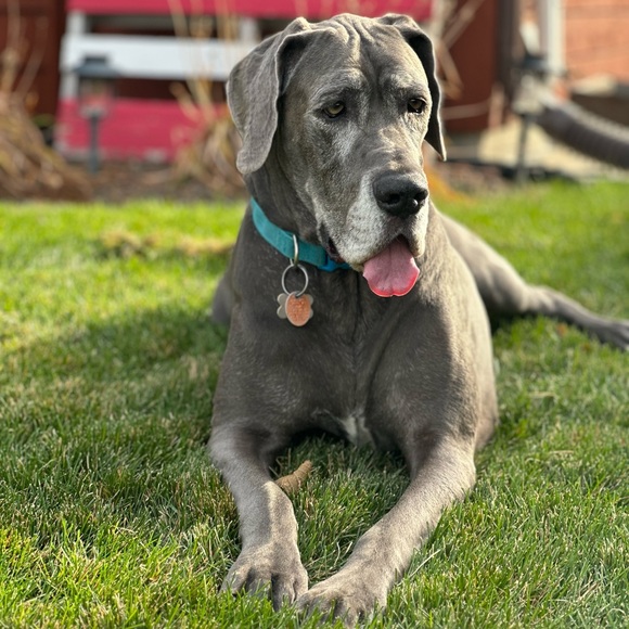 Meet your Posher, Britney - Picture 7 of 9